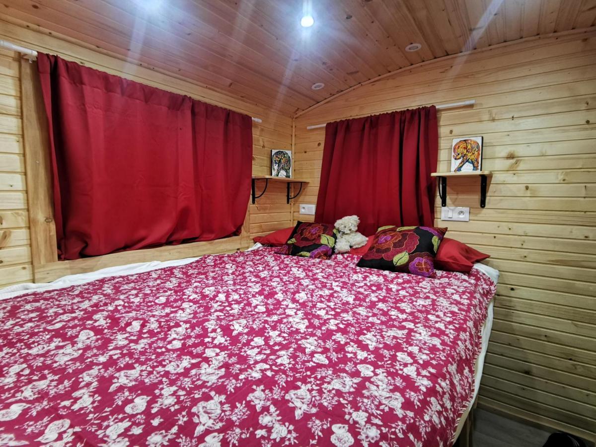 Гостьовий будинок La Roulotte Du Cagire - 4 Pers - Pyrenees Villeneuve-de-Riviere Екстер'єр фото