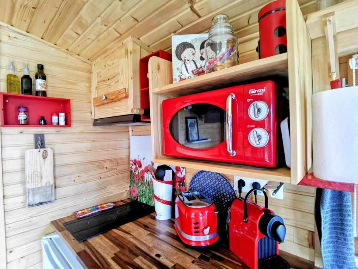 Гостьовий будинок La Roulotte Du Cagire - 4 Pers - Pyrenees Villeneuve-de-Riviere Екстер'єр фото